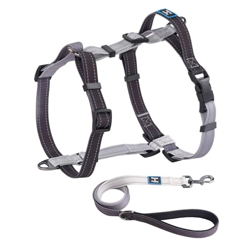 Roses&Poetry Puppy Dog Harness and Leash Set, No Pull Dog Harness Adjustable Reflective, Dog Halter Harnesses Comfort Padded Handle, Pet Harness for Training Outdoor Walking（BlackGray-S - color: BlackGray, size: S