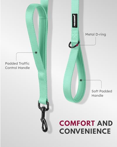 Dog Leash 6FT - Heavy Duty Dog Leash with Traffic Padded Double Handles - Safety Control Traning Leash for Large Medium Dogs - color: Green