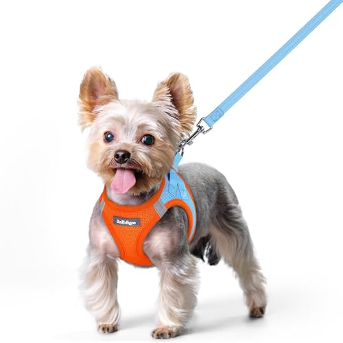 rabbitgoo Dog Harness Small Sized and Leash Set, Step in Soft Light Puppy Vest, Breathable Mesh Pet Harness, Reflective for Safe Easy Walking, Blue & Orange XS - color: Blue & Orange, size: Xs (chest: 13.3 - 15.5")
