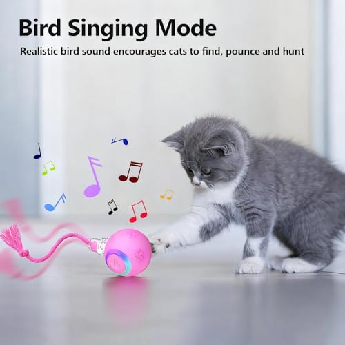 FUNNYDUCK Speed 2.0 Tail Interactive Cat Toy – Motion-Activated Rolling Ball with Chirping Sounds, USB Rechargeable Smart Ball Toy for Indoor Cats & Kittens, Enrichment & Exercise - color: Pink