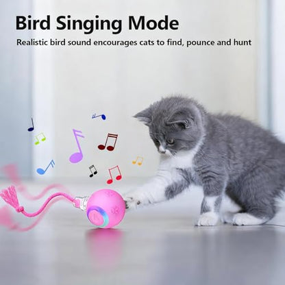 FUNNYDUCK Speed 2.0 Tail Interactive Cat Toy – Motion-Activated Rolling Ball with Chirping Sounds, USB Rechargeable Smart Ball Toy for Indoor Cats & Kittens, Enrichment & Exercise - color: Pink