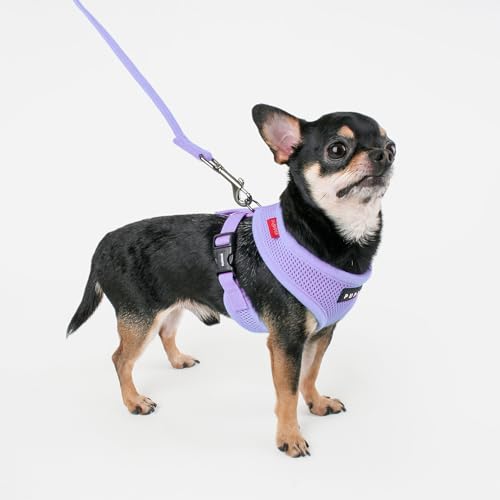 Puppia Soft Dog Harness No Choke Over-The-Head Triple Layered Breathable Mesh Adjustable Chest Belt and Quick-Release Buckle, Violet, Large - color: Violet, size: Large