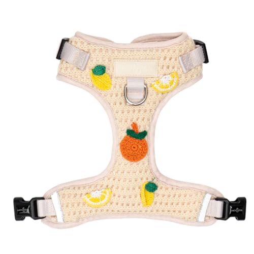 Lucy & Co. Main Squeeze Crochet No-Pull Dog Harness, Adjustable Front Clip Harness with Comfort Padding, Small - color: Main Squeeze, size: Small