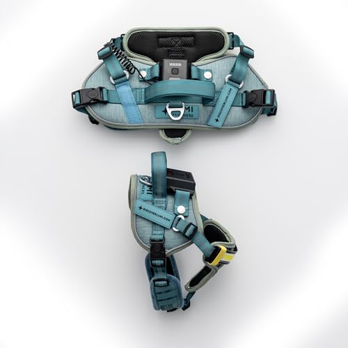 Lumi One LED Dog Harness for Night Visibility and Safety, Patent Pending – High-Visibility Light-Up Dog Vest, Rechargeable, Adjustable Fit, Reflective Trim, and Durable Construction (Teal Blue, Large) - color: Blue, size: Large