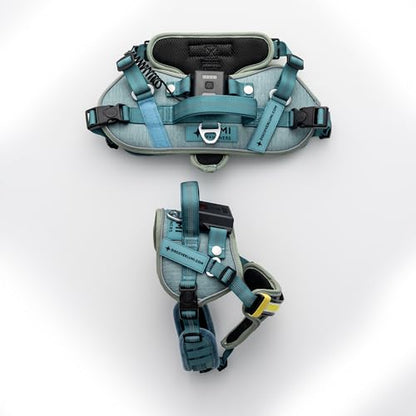 Lumi One LED Dog Harness for Night Visibility and Safety, Patent Pending – High-Visibility Light-Up Dog Vest, Rechargeable, Adjustable Fit, Reflective Trim, and Durable Construction (Teal Blue, Large) - color: Blue, size: Large