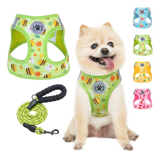 BEAUTYZOO Step in Dog Harness and Leash Set,Reflective Dog Harness No Pull No Choke Puppy Harness for Small Medium Large Dogs Cats,Soft Padded Mesh Vest Harnesses for Girl and Boy Pets, Bee S - color: Bee Pattern, size: Small(Chest Girth 14.5" - 16")