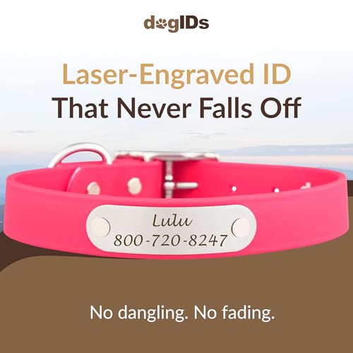 dogIDs Personalized Dog Collar – Custom Waterproof Soft-Grip Biothane with Laser-Engraved Nameplate, Durable & Odor-Resistant, USA Made | Pink, 1 in x 16 in (Fits Necks Size 14-18 in) - color: Pink, size: 1 in x 16 in (Fits Necks Size 14-18 in)