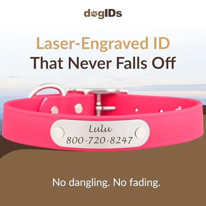 dogIDs Personalized Dog Collar – Custom Waterproof Soft-Grip Biothane with Laser-Engraved Nameplate, Durable & Odor-Resistant, USA Made | Pink, 1 in x 16 in (Fits Necks Size 14-18 in) - color: Pink, size: 1 in x 16 in (Fits Necks Size 14-18 in)