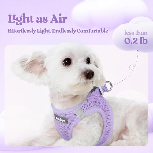 rabbitgoo Dog Harness Small Sized and Leash Set, Step in Soft Light Puppy Vest, Breathable Mesh Pet Harness, Reflective for Safe Easy Walking, Light Purple XXS - color: Light Purple, size: Xxs (chest: 12.4 - 14.2")