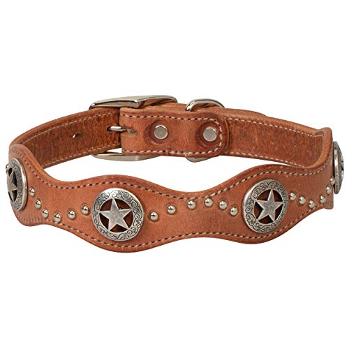 Texas Star Collar