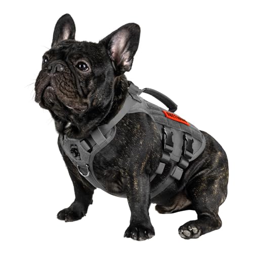 OneTigris Tactical Dog Harness for Small Dogs, No Pull Small Dog Vest Harness with Handles Breathable Military Dogs Molle Vests, Harness for Walking Hiking Training (Grey, XS) - color: Grey, size: XS