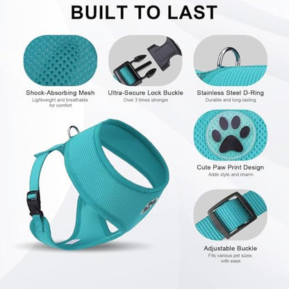 BINGPET Small Dog Harness, No Pull Dog Harness Small Sized Dogs, Soft Light Breathable Mesh Puppy Vest with Safety Buckle-Adjustable Step in Pet Harnesses for Easy Walking, Running, Training - color: Aqua, size: S (NECK: 12", CHEST: 14"-18")