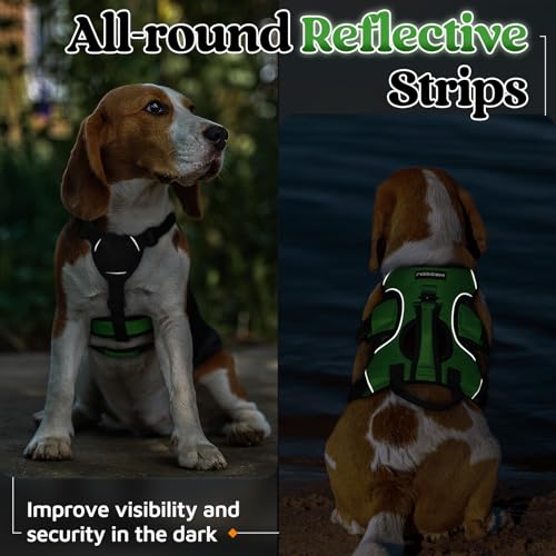 rabbitgoo Escape Proof Dog Harness, Soft Padded Full Body Pet Harness, Reflective Adjustable No Pull Vest with Lift Handle and Lesh Clip for Large Dogs Walking Hiking Training, S, Green - color: Green, size: Small (Pack of 1)