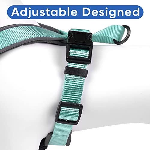 Pawtitas Reflective Padded Dog Harness for X-Small Dogs – Adjustable Puppy Step-in Vest | Fits Chest 14–18 in | No Pull Training Harness | XS | Teal - color: Teal, size: X-Small (Pack of 1)
