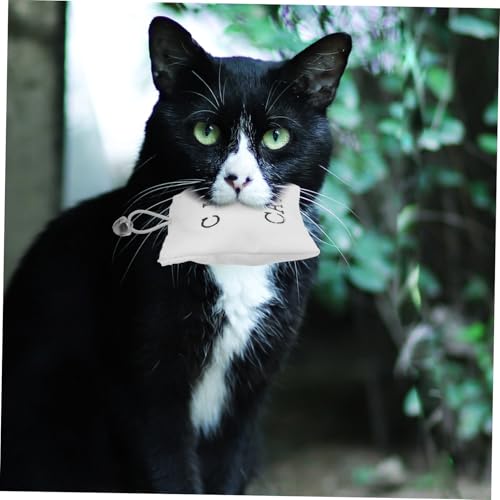 SHINEOFI 3pcs Catnip Toys for Indoor Cat Toys Scratch-Resistant Sack with Premium Catnip Refill Healthy Material Interactive Cat for Active Play Random Style