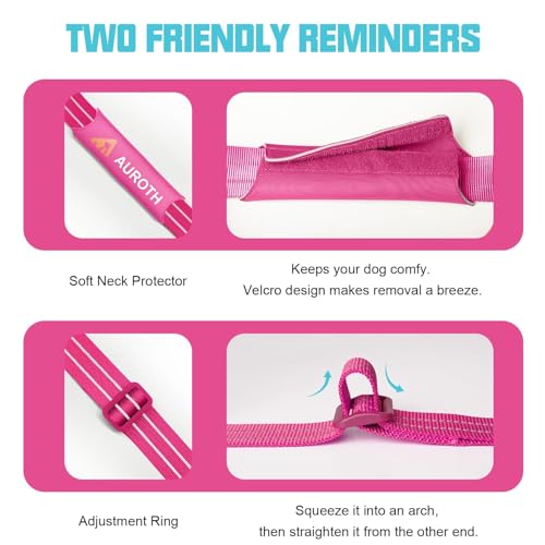 AUROTH Dog Harness and Leash Set, Soft Padded Service Dog Vest with 5.25FT Dog Leash, No Choke, Easy On Pet Vest, Adjustable Reflective No Pull Pet Vest Medium Sized Dog, Easy Walking and Training - color: Rose Red, size: Medium