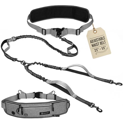 Tails & Tales Hands Free Dog Leash with Waist Pouch, Lumbar Support Upgraded, Bungee Reflective Leash, Adjustable Belt 25-55", Walking Running Hiking Training for Dogs Up to 125lbs (Gray, Two Dogs) - color: Gray, size: Two Dogs