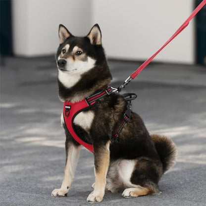 Voyager Dog Harness Dual Leash Attachment No-Pull Control Adjustable Soft but Strong Pet Harness for Medium and Large Dogs with 3M Reflective Technology, Leash Set Red Nylon, XS (Chest: 13-16") - color: Leash Set Red Nylon, size: XS (Chest: 13 - 16")