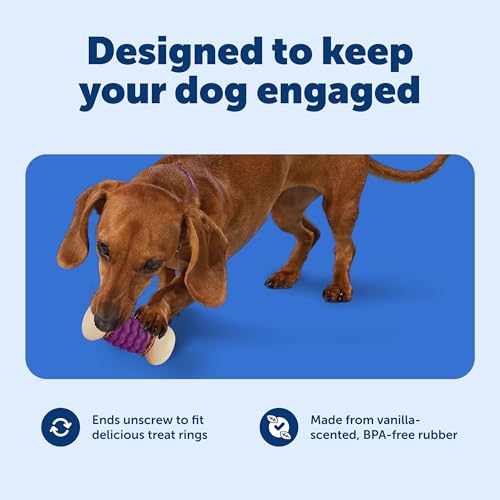 PetSafe Busy Buddy Nobbly Nubbly Treat Holding Dog Toy Strong Chewers Large - size: Large, style: Nobbly Nubbly