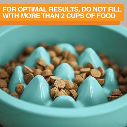 The Niner Slow Feed Bowl - Raised Peaks Slow Down Pets Eating - Fits Elevated Feeders Including Neater Feeder Large Sizes - Gentle on Teeth and Gums - Holds up to 2 Cups (Aquamarine) - color: Aquamarine