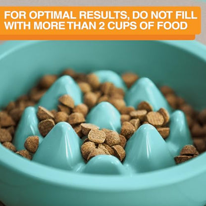 The Niner Slow Feed Bowl - Raised Peaks Slow Down Pets Eating - Fits Elevated Feeders Including Neater Feeder Large Sizes - Gentle on Teeth and Gums - Holds up to 2 Cups (Aquamarine) - color: Aquamarine