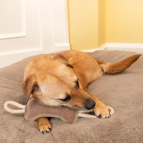 SPOT Dura-Fused Leather Bone Tug Dog Toy – Durable Real Leather & Jute Chew Toy with Double Rope Handles & Squeaker, For Moderate Chewers, 18in - size: 18 in