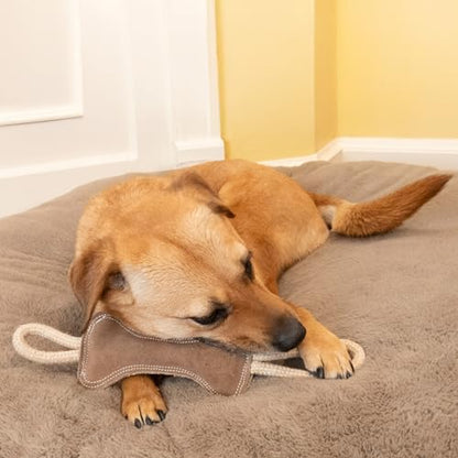 SPOT Dura-Fused Leather Bone Tug Dog Toy – Durable Real Leather & Jute Chew Toy with Double Rope Handles & Squeaker, For Moderate Chewers, 18in - size: 18 in