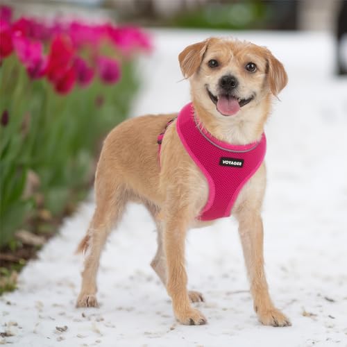 Voyager Aerolite Over The Head Dog Harness, No Pull Breathable Air Mesh Vest, Quick Dry with Reflective Stitching, Adjustable Escape Resistant Harness for Small Medium Large Dogs - Fuchsia, Large - color: Fuchsia, size: L