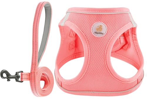 Dog Harness and Leash Set, No Pull Soft Mesh Puppy Harness for Small Medium Dogs, Cats - Step in Reflective Breathable Lightweight Vest Harness for Walking, Training - Pink, L - color: Pink, size: L (Chest: 19"-20.5")