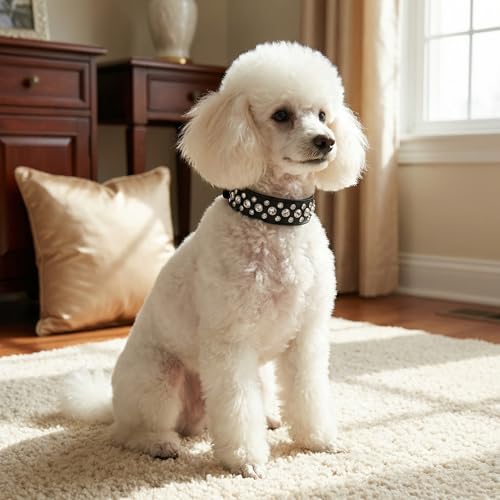 Rhinestone Dog Collar, Bling Rhinestone PU Leather Crystal Diamond Pet Dog Cat Puppy Collar Black S M L XL (M, Purple) - color: Purple, size: M