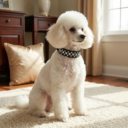Rhinestone Dog Collar, Bling Rhinestone PU Leather Crystal Diamond Pet Dog Cat Puppy Collar Black S M L XL (XS, Black) - color: Black, size: XS
