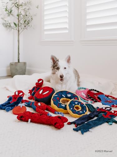 ZippyPaws Marvel Rope Gliderz - Durable Outdoor Dog Toy, Pet Flying Disc, Soft Frisbee Dog Toy for Throwing & Fetching - Spider-Gwen