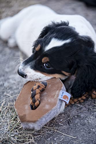 Carhartt Pet Training Tools, Rugged Dog Tool for Tug and Fetch, Firm Duck Hex Dog Pull (Carhartt Brown) - style: Firm Duck Hex Dog Pull