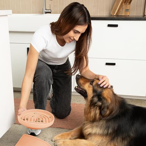 Should We Go? Slow Feeder for Dogs & Puppies, The Slowdown Bowl Silicone Slow Eating, Modern Lick Mat Design, Reduces Gulping, Fits 2.5 Cups, 9.5” Across x 1.5” Tall, Mealtime Challenge, Large-Blush - color: Blush - Rainbow Design, size: Large (9.5” Acros