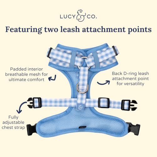 Lucy & Co. Silly Goose No-Pull Dog Harness, Adjustable Front Clip Harness with Comfort Padding, Small - color: Silly Goose, size: Small