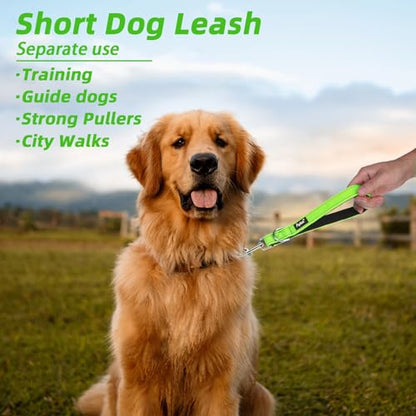 PUPTECK Chew Proof Dog Leash with Detachable Short Leashes Padded Handle Reflective, Heavy Duty Steel Cable Lead for Small Medium Large Dogs Training Walking, Green 4.9ft - color: Green