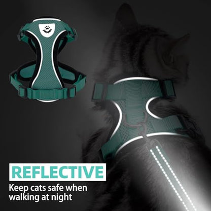 PUPTECK Cat Harness and Leash Set Escape Proof Reflective Cat Walking Harness Adjustable Soft Breathable Mesh Vest for Small Pets, Aquamarine, XS - color: Aquamarine, size: XS (NECK 8.5", CHEST 11"-14")