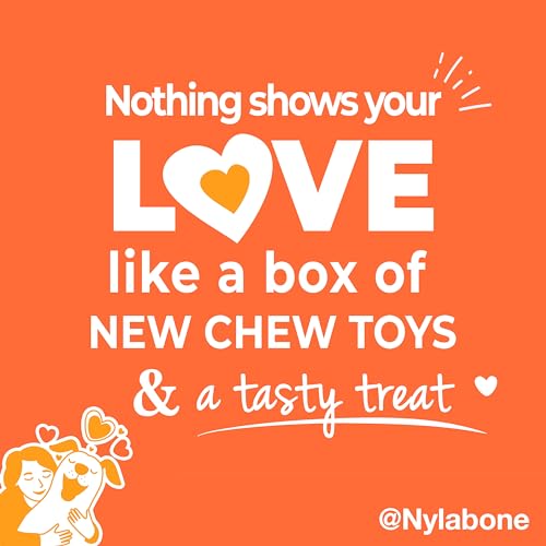 Nylabone Dog Gift Box, Includes 3 Strong Chew Toys and 1 Natural Treat, Gifts for Dogs, Large - Up to 50 lbs, 4 Pack - size: Large (4 Count)
