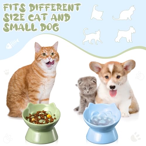 Funnymoom 2 Pcs Ceramic Raised Slow Feeder Cat Bowl, 5.91inch Elevated Cat Slow Feeder Bowl Tilted Anti Vomiting for Dry Wet Food and Water Easy to Clean High Edge(Green, Blue) - color: Green, Blue