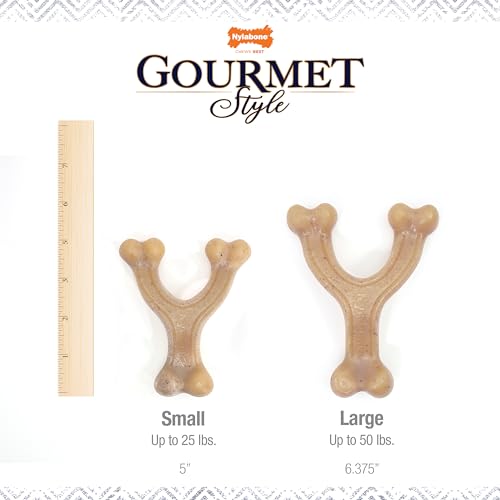 Nylabone Gourmet Style Wishbone Strong Chew Toy for Dogs, Chicken Flavor, Small - Up to 25 lbs, 1 Count - size: Small