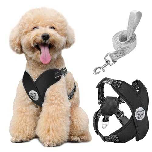 Pawaboo Small Dog Harness and Leash Set, Puppy Harness X-Frame No Pull No Choke, Dog Vest Harness Adjustable for Small Medium Sized Dogs, Soft Breathable Pet Harness for Walking Outing (M, Black) - color: A-black, size: M(Neck 15.7-18.9" Chest 14.2-23.6")