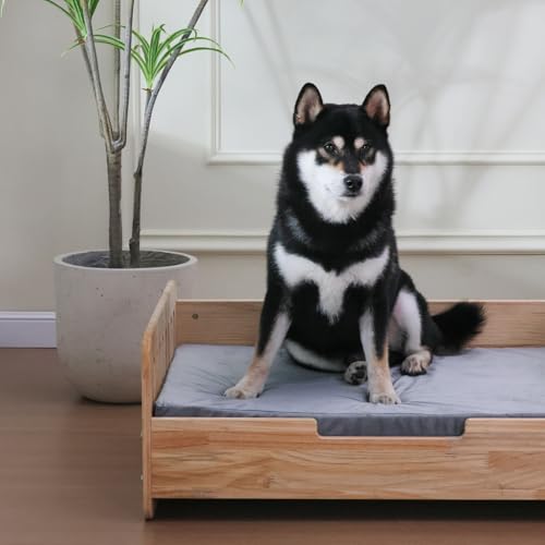 Elevated Dog Bed for Small to Medium Dogs – 32” x 21” Indoor Wooden Pet Sofa with Soft Cushion, Mid-Century Modern Style, Sturdy & Stylish (Natural) - color: Pine Wood
