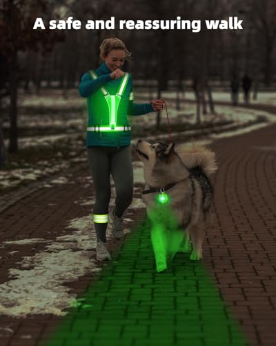LED Reflective Vest Safety Gear, High Visibility Reflective Running Gear for Dog Walking Running Cycling, Adjustable for Men Women Kids - Reflective Armband and Dog Light with USB Rechargeable