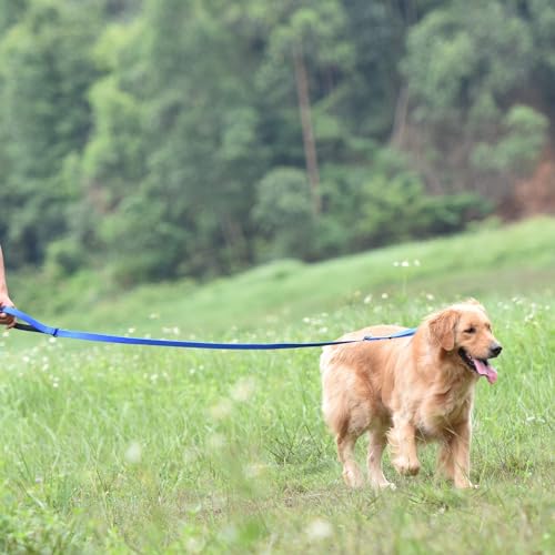 Pets Premium Upgraded Adjustable Between 4 Feet and 6 Feet Leash with Sturdy Nylon and Super Soft Neoprene Lined Handle for Small Medium Large Dogs Lead - color: Blue, size: Large Adjustable 6 Feet