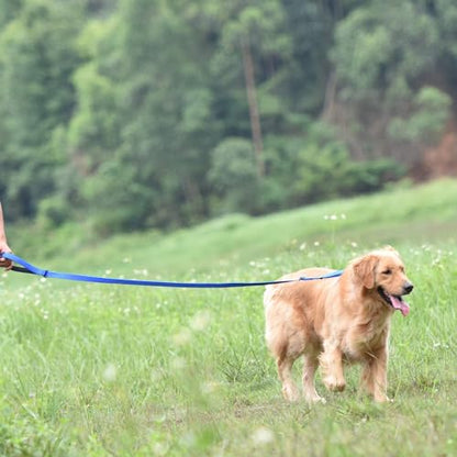 Pets Premium Upgraded Adjustable Between 4 Feet and 6 Feet Leash with Sturdy Nylon and Super Soft Neoprene Lined Handle for Small Medium Large Dogs Lead - color: Blue, size: Large Adjustable 6 Feet