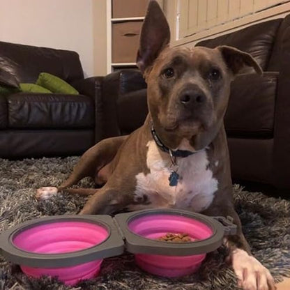 Loving Pets - Bella Roma Double Diner Portable Travel Dog Bowls Collapsible Combined Dog Food & Water Bowls (Pink, Medium) - color: Pink, size: Medium Travel Double Diner