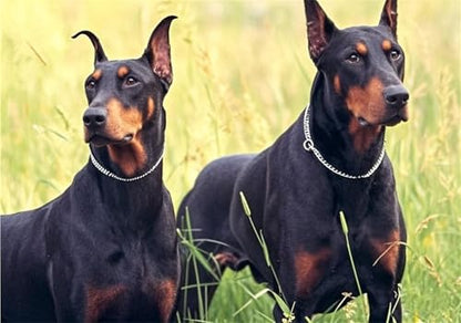 Silver Dog Choke Collars,Metal Slip Link Martingale Choker Dog Collar Heavy Duty Training Dog Collars Puppy Collars for XS Small Medium Large Big Breed Dogs,XS - color: Flat Sliver Chain, size: XS(Neck Max 12inch)D2.0mm