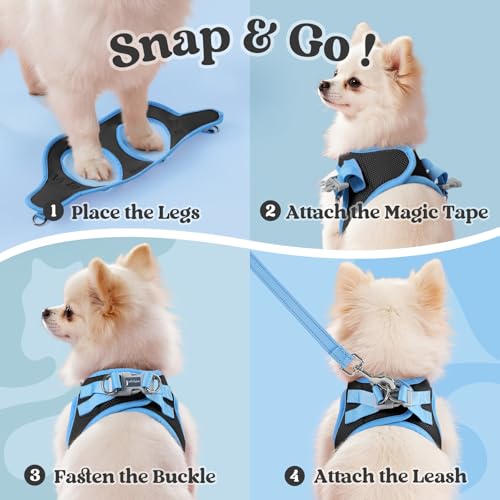 rabbitgoo Dog Harness Small Sized and Leash Set, Step-in Breathable Pet Harness, Soft Walking Reflective Puppy Vest for Small Dogs, Black & Light Blue, XS - color: Black & Light Blue, size: XS (Chest: 13.3 - 15.5")