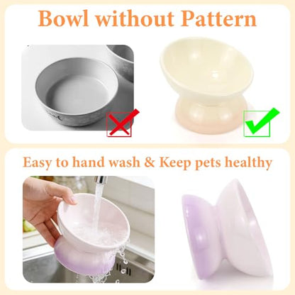 Elevated Cat Food Bowl 4 Pack 5 Oz Ceramic Raised Tilted Water Dishes, 15° Tilt Anti Vomiting, Protect Pets' Spines Bowls for Small Dog, Fat Faced Cat, Kitten