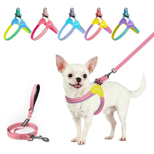 Kazazoo No Pull Small Dog Harness and Leash Set, Adjustable Puppy Soft Vest Harness with Breathable Mesh Padded, Reflective Lightweight Harness with Buckle for Extra Small Medium Dogs, Pink XS - color: Purple&Pink, size: XS